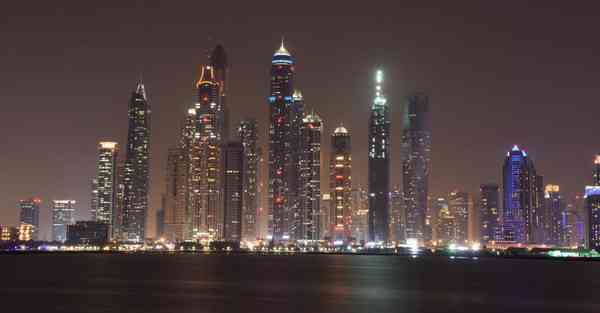 全自动智能宠物机器人 宠物机器人COZMO