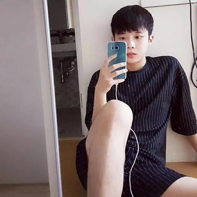 凤邦琛锦