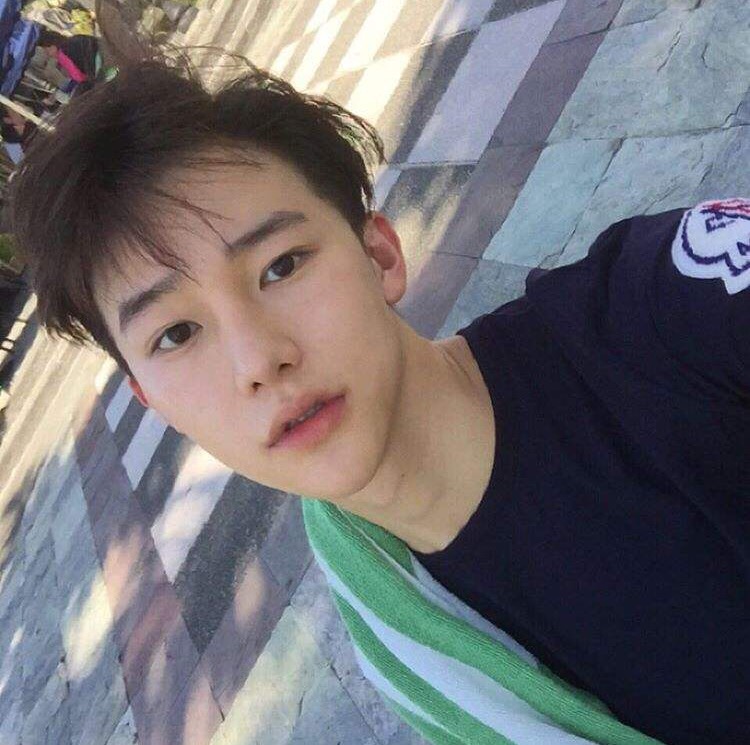 单于新珠群