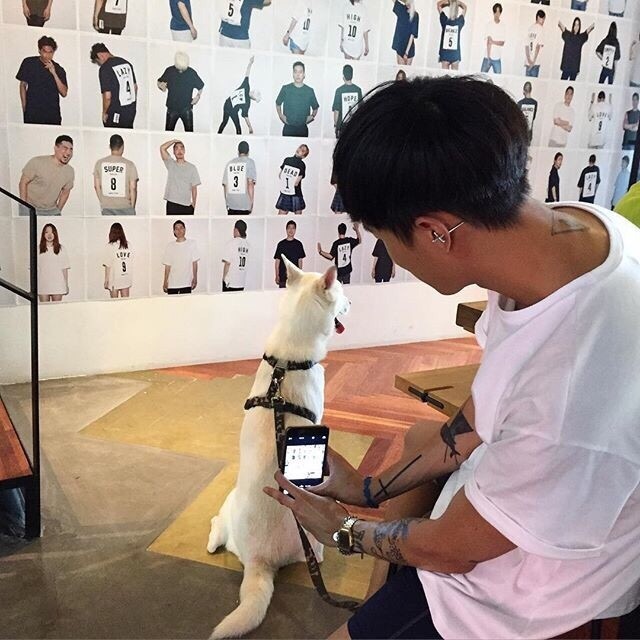 闵罡楠艺