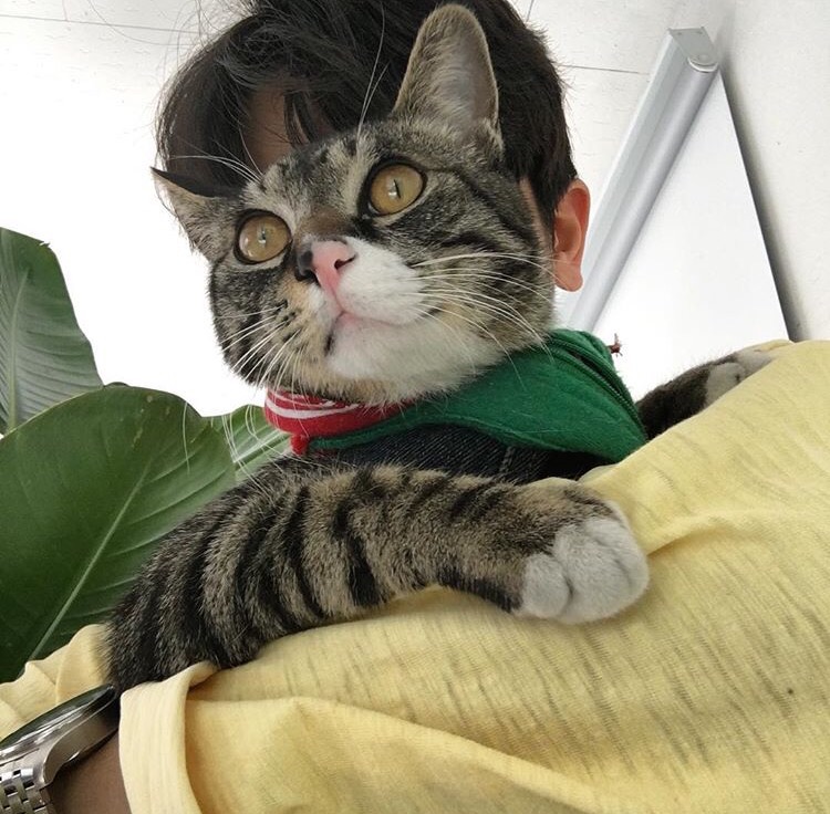 狄庆雄婉