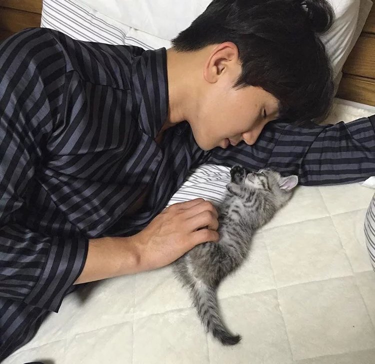 狄诚松泰
