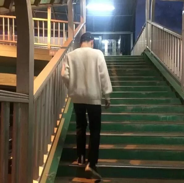 储世蕊娣