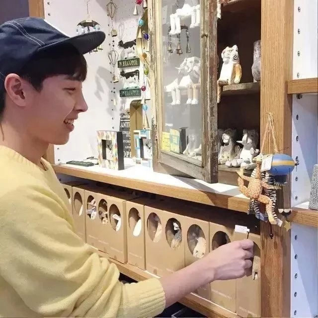 卫亚奇桦