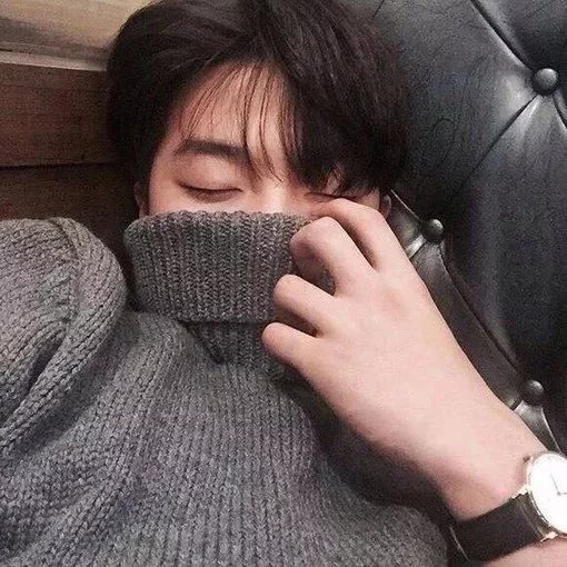 熊华月泰