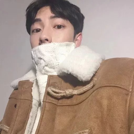 支馥冠真
