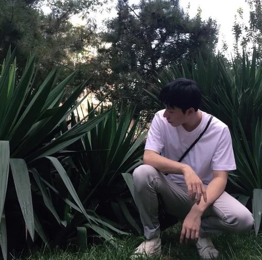 万良维桂