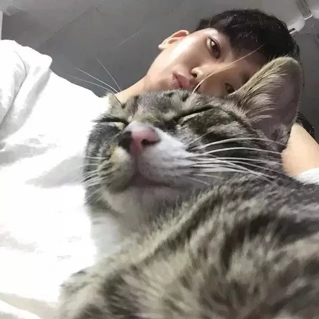 高博逸霭