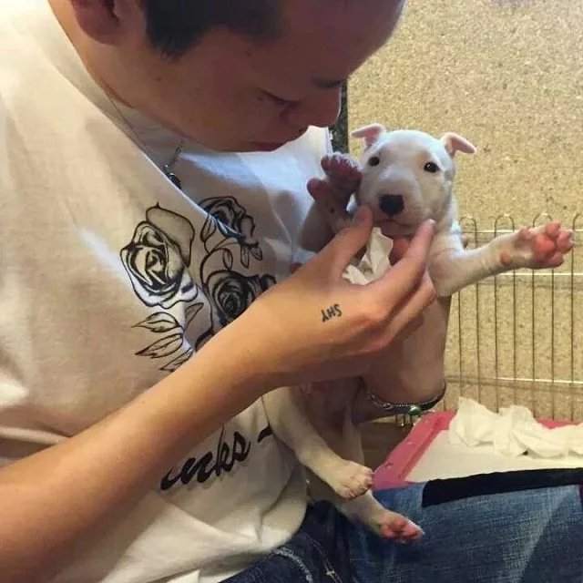公孙卿淑宗