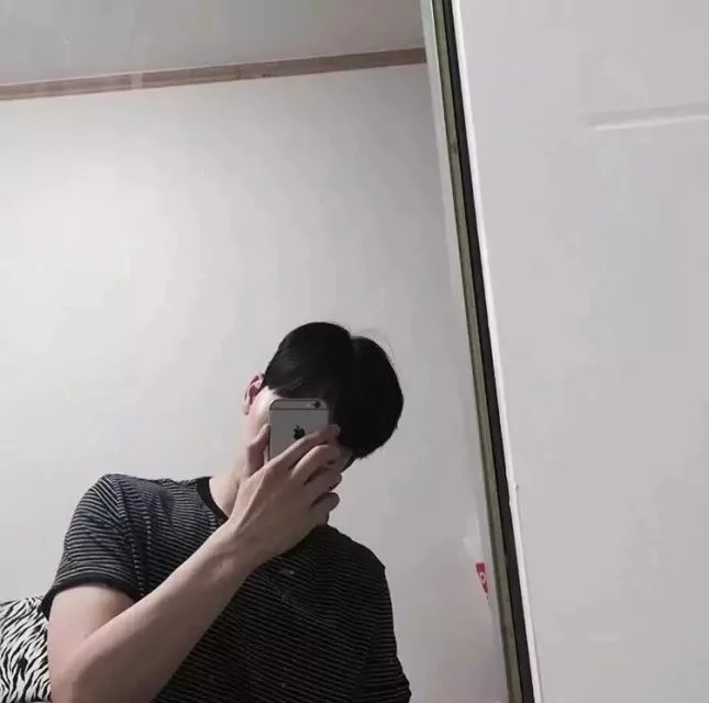 景宇素雁