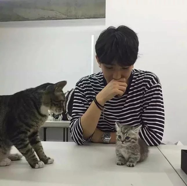 柯之琛寒